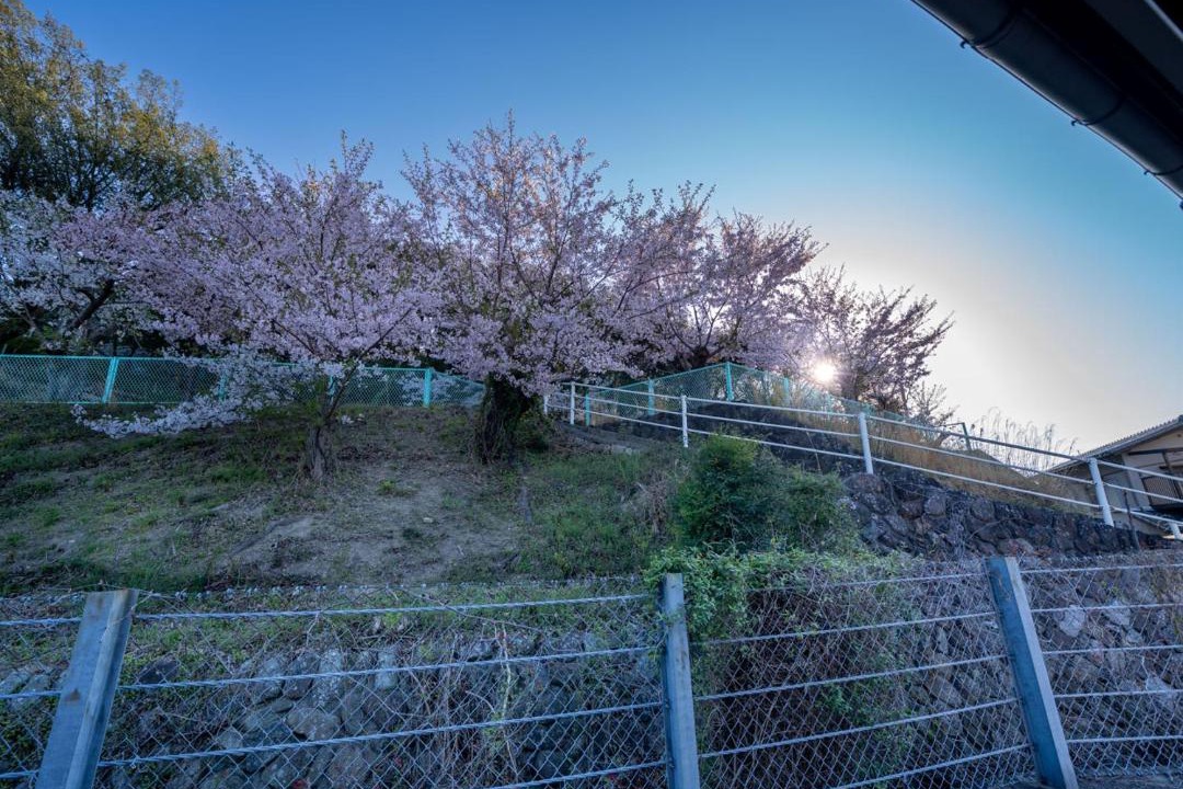 Photo of Others in Meiro no Machi