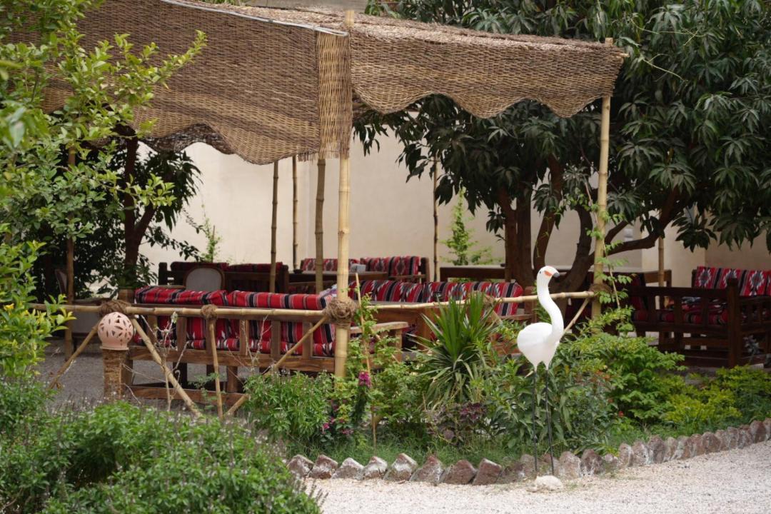 Photo of Others in Luxor