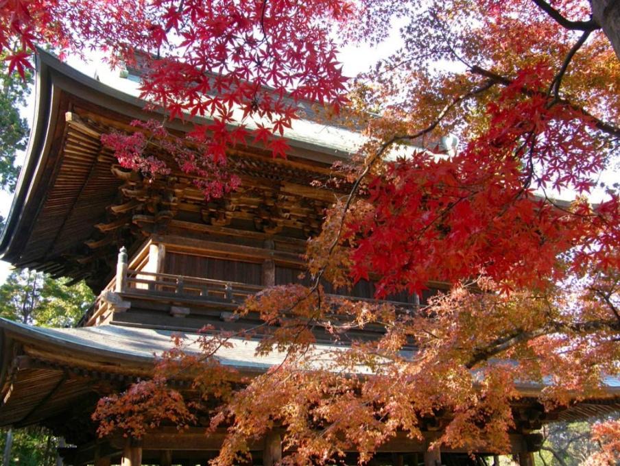 Photo of Others in Koshigoe