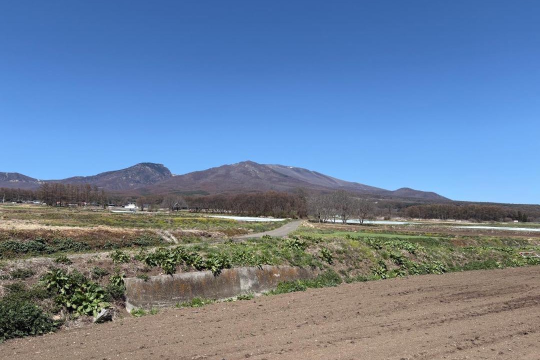 Photo of Others in Miyota