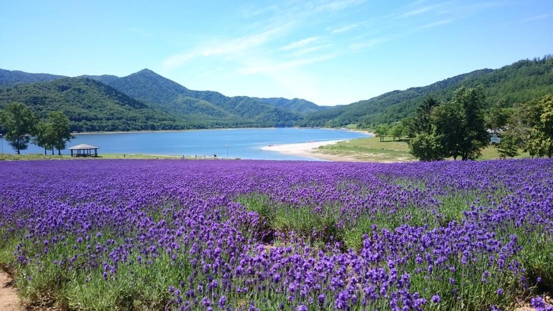 Photo of Others in Minamifurano