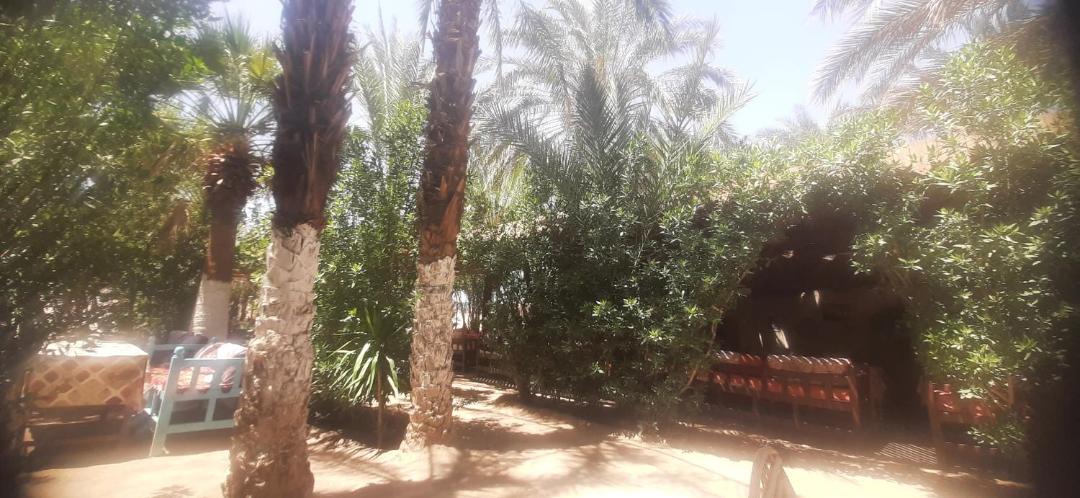 Photo of Others in Luxor