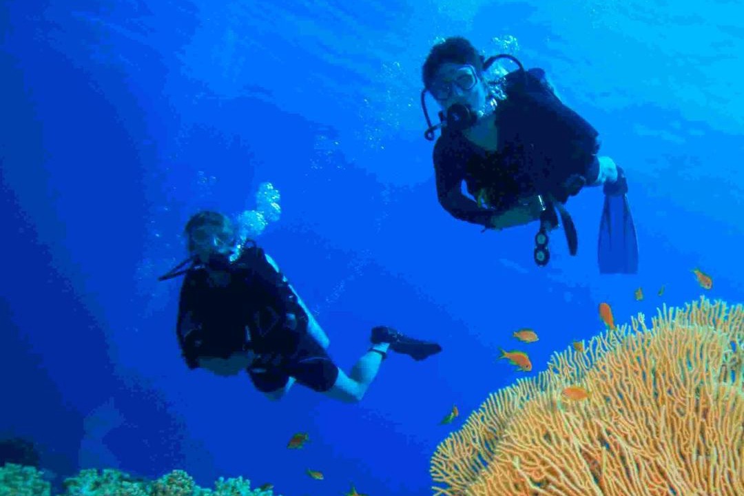 Photo of Others in Dahab