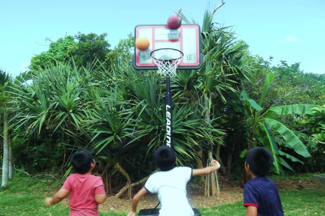 Photo of Others in Ibaruma