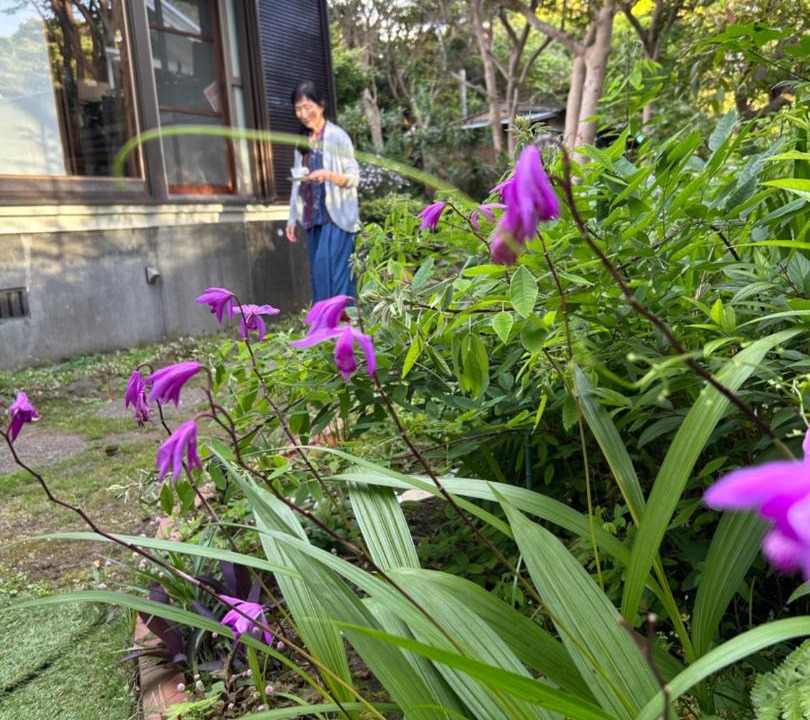 Photo of Outdoor in Oshima