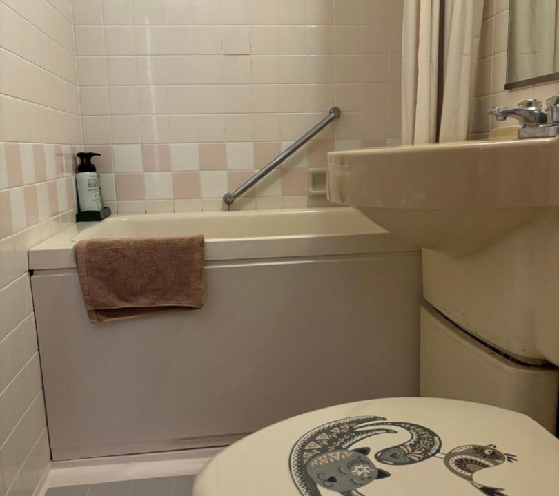 Photo of Bathroom in Yawatano