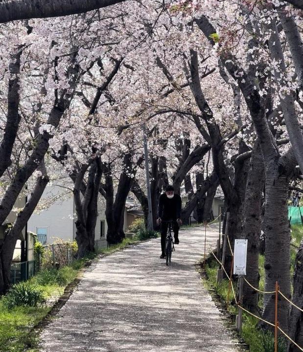 Photo of Others in Nara