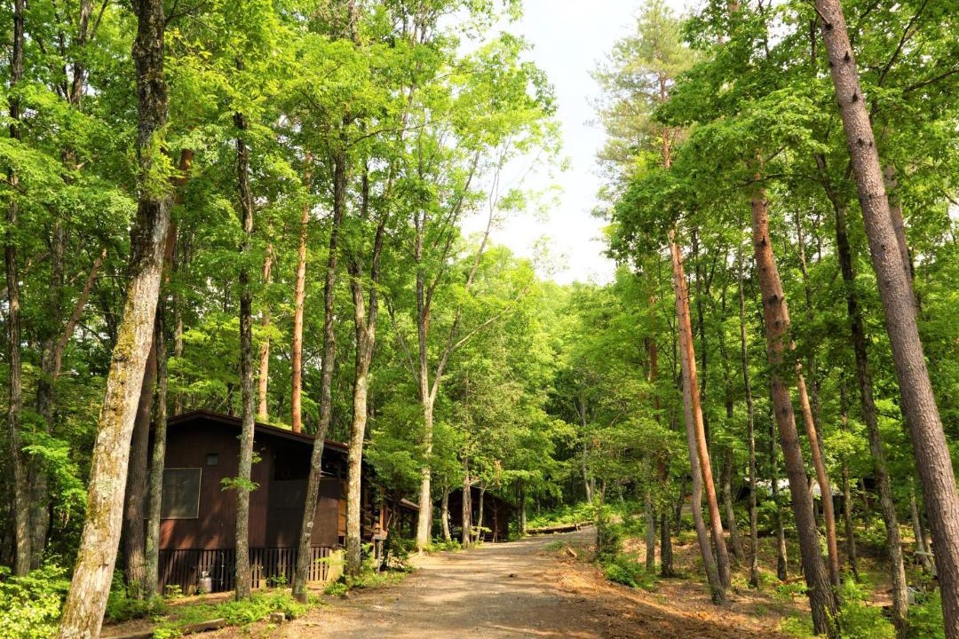 Photo of Others in Fukushima