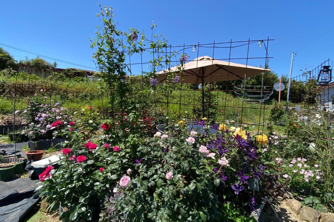 Photo of Outdoor in Mie Prefecture