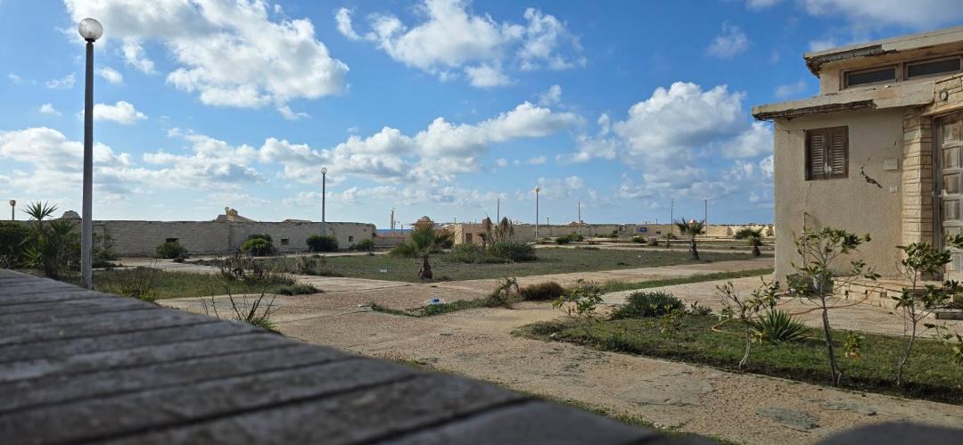 Photo of Others in Sidi Jabir
