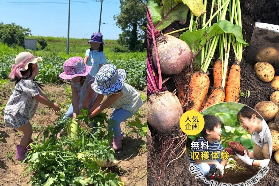 Photo of Others in Sanbu-gun