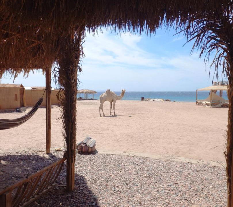 Photo of Others in Dahab