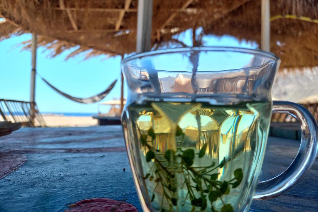 Photo of Others in Dahab