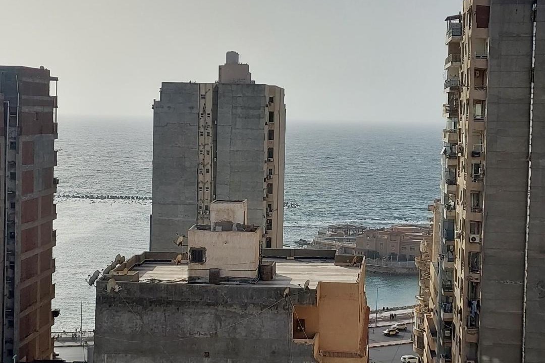 Photo of Others in Al-Muntazah
