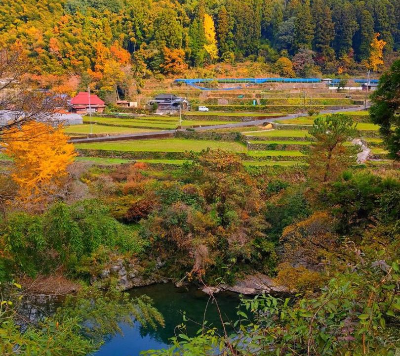 Photo of Others in Kurogi