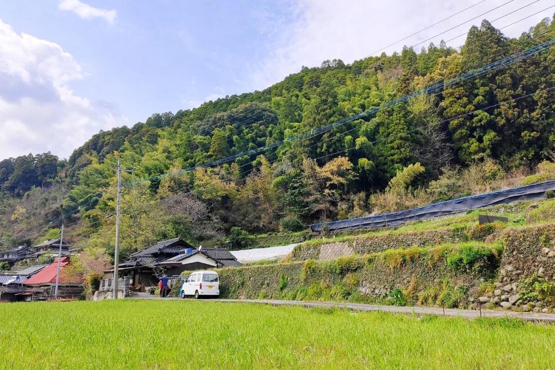 Photo of Others in Kurogi