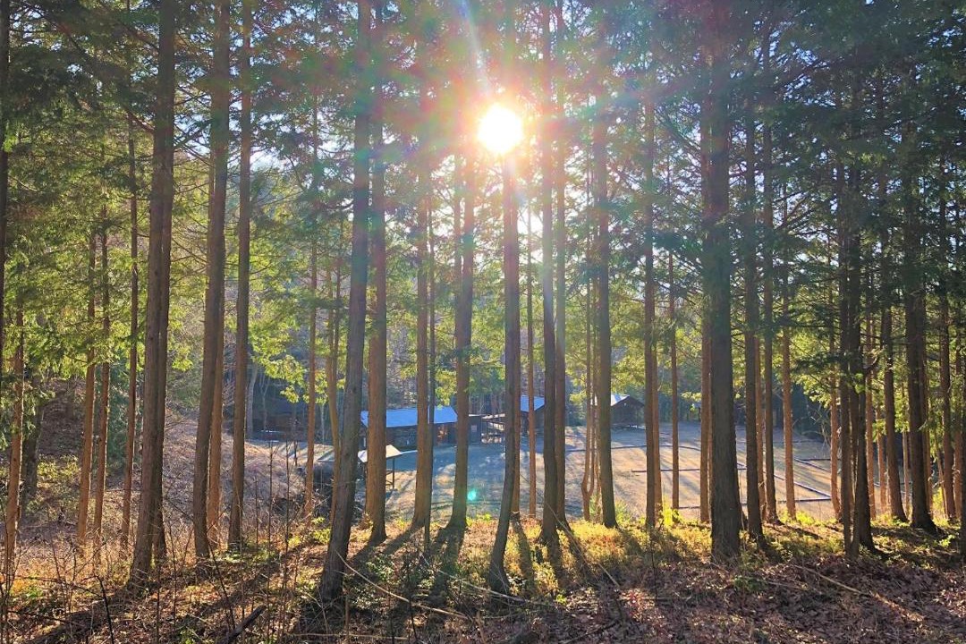 Photo of Others in Fukushima