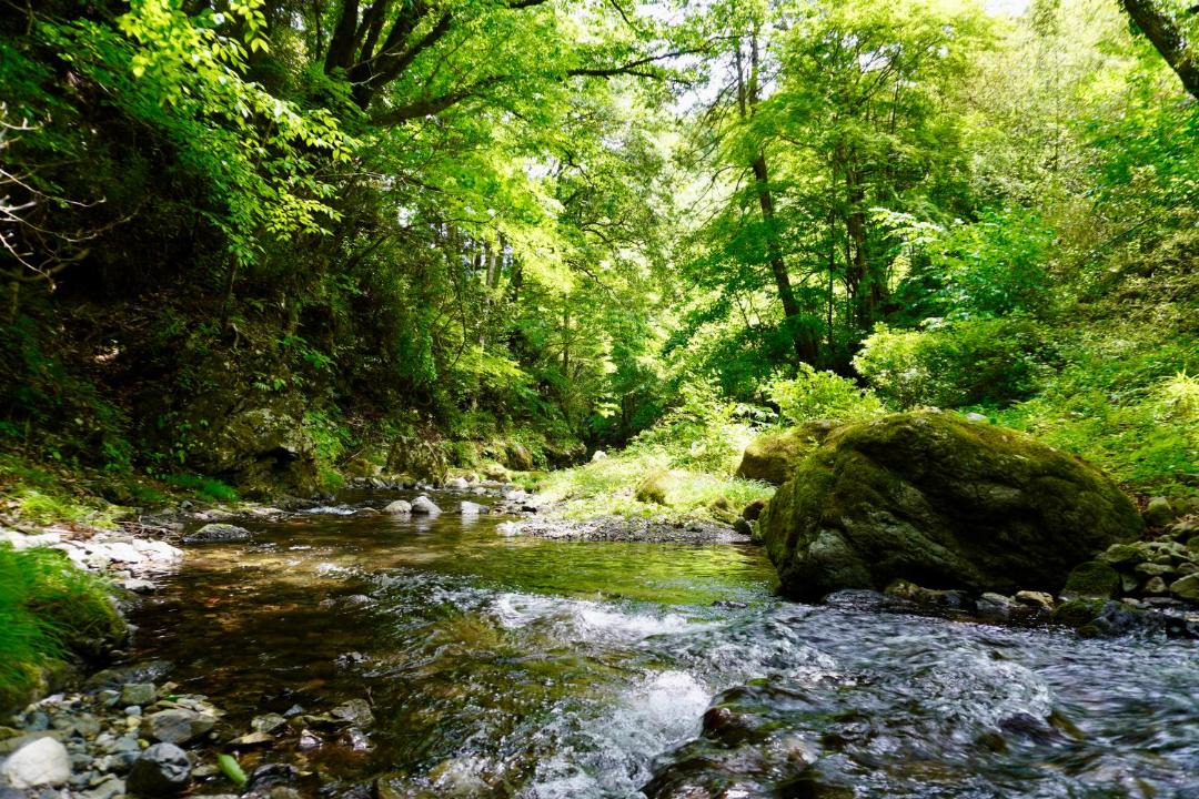 Photo of Others in Okutama