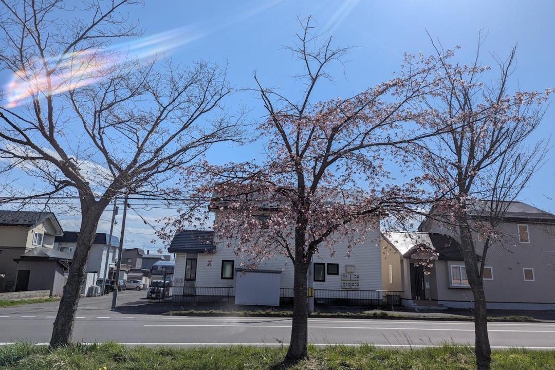 Photo of Others in Noboribetsu
