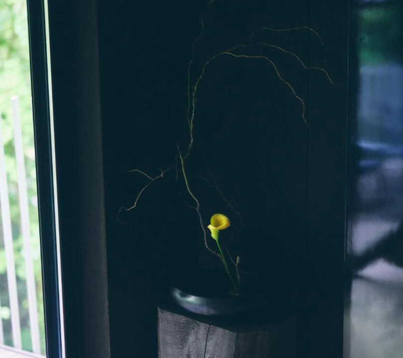 Photo of Others in Hakone