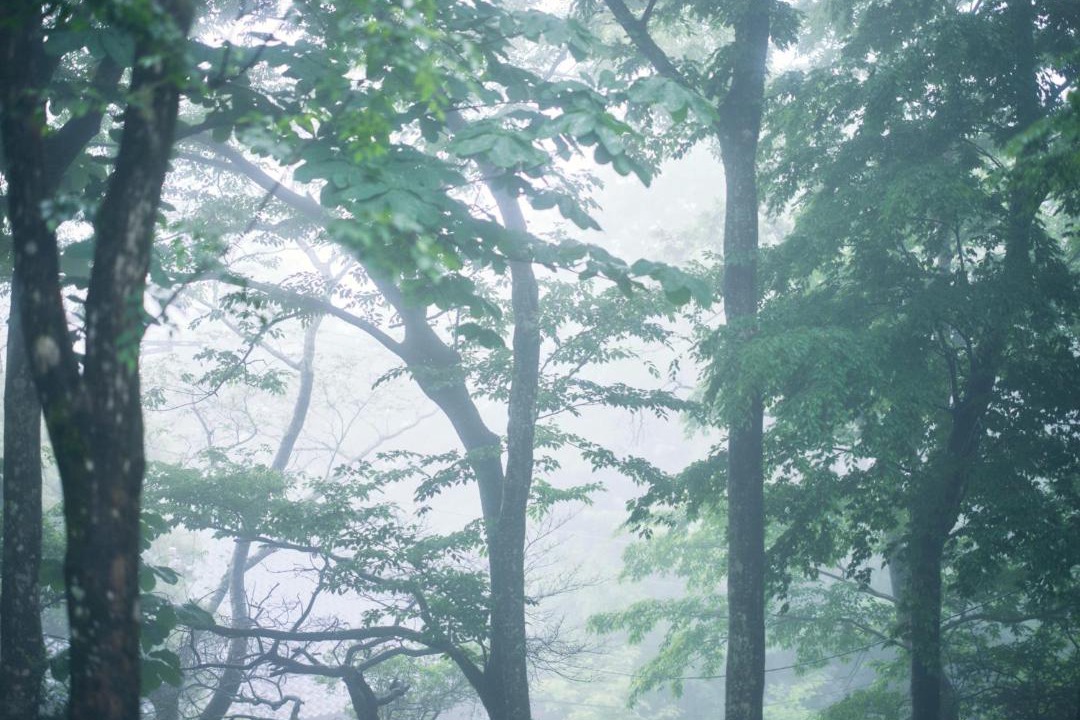 Photo of Others in Hakone