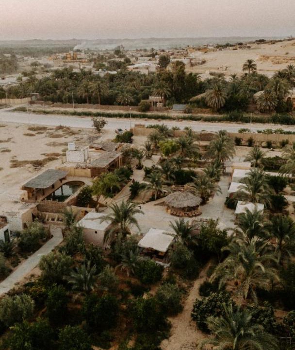 Photo of Others in Siwa