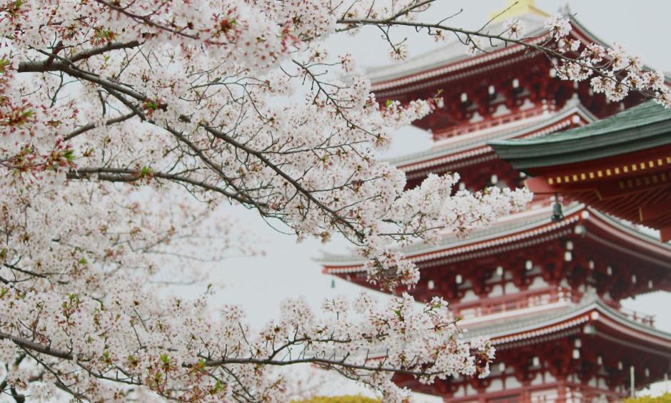 Photo of Others in Kiyokawa