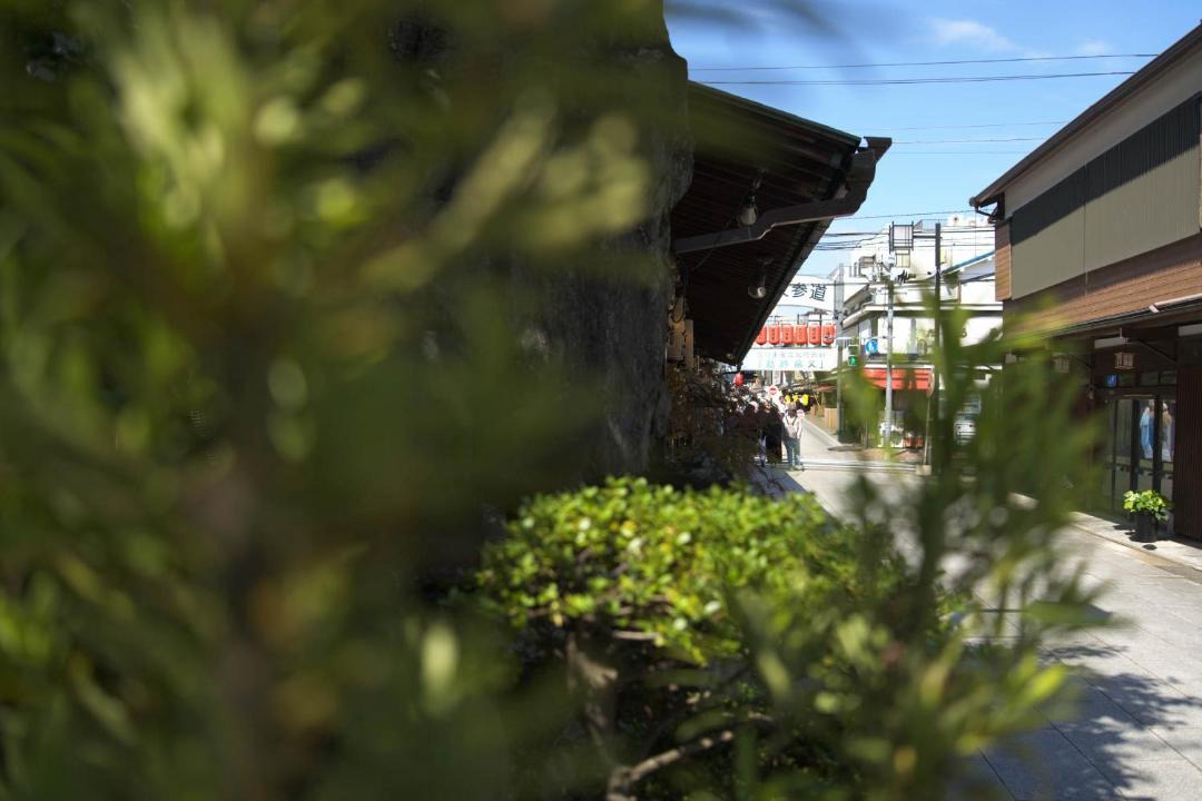 Photo of Others in Shibamata