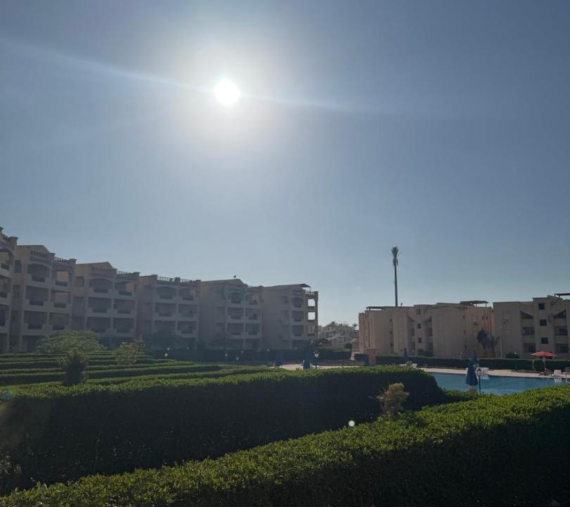 Photo of Others in Borg el Arab