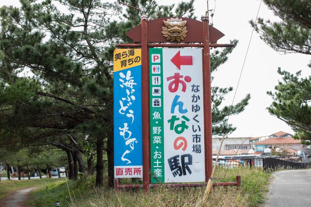 Photo of Others in Maeganeku