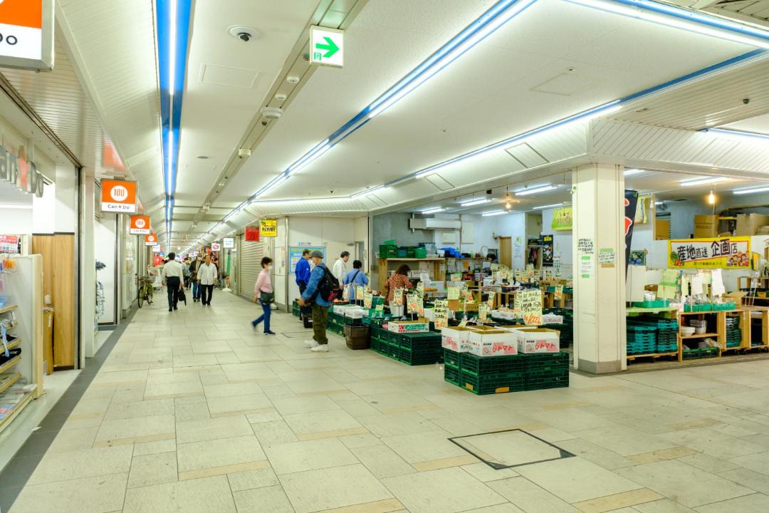 Photo of Others in Nishikasai