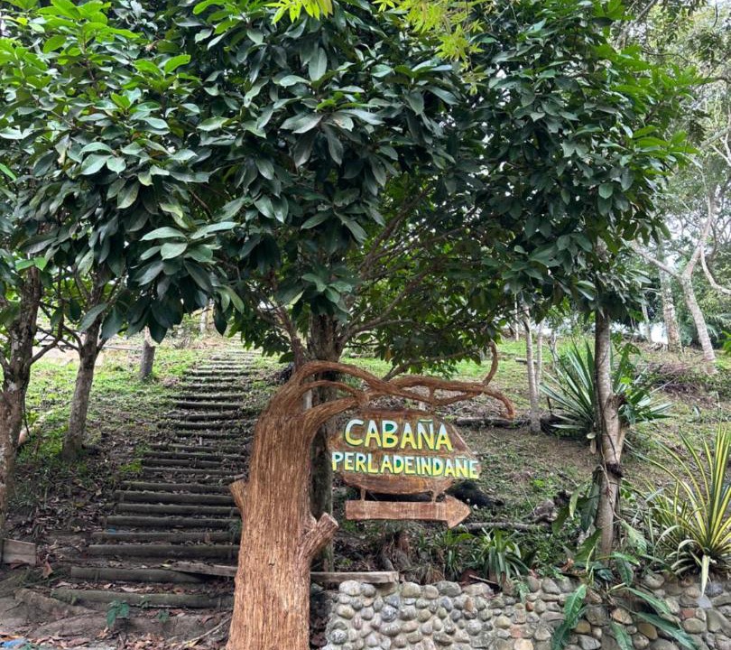 Photo of Outdoor in Moyobamba