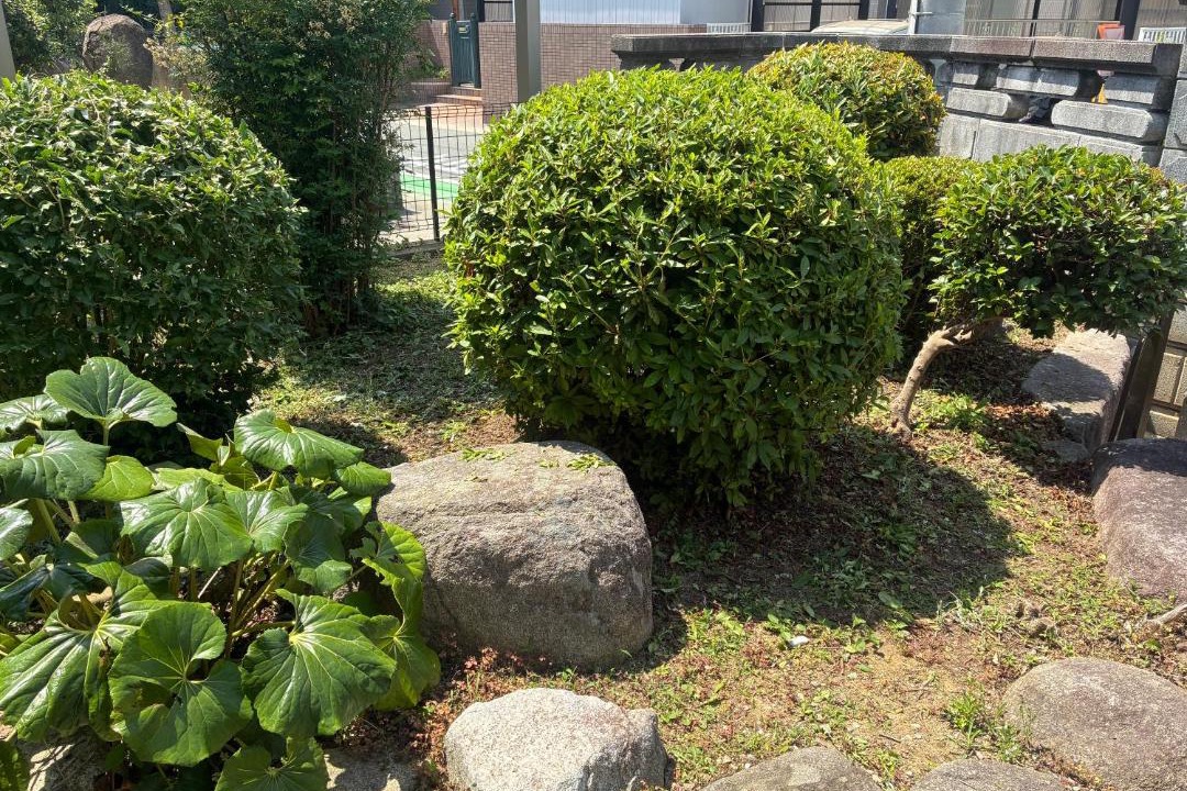 Photo of Others in Higashi-ku