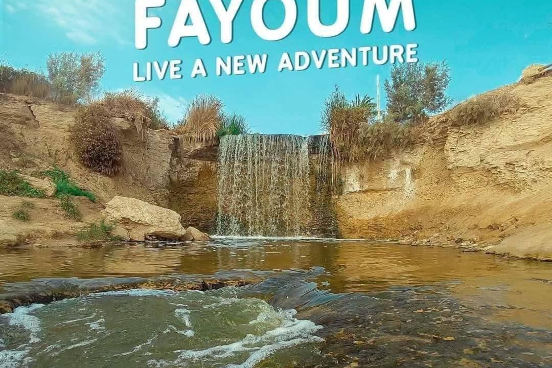 Photo of Others in Al Fayoum