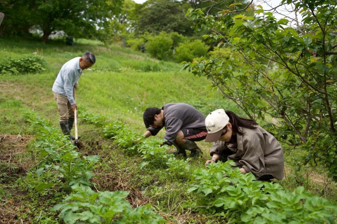 Photo of Others in Hayama