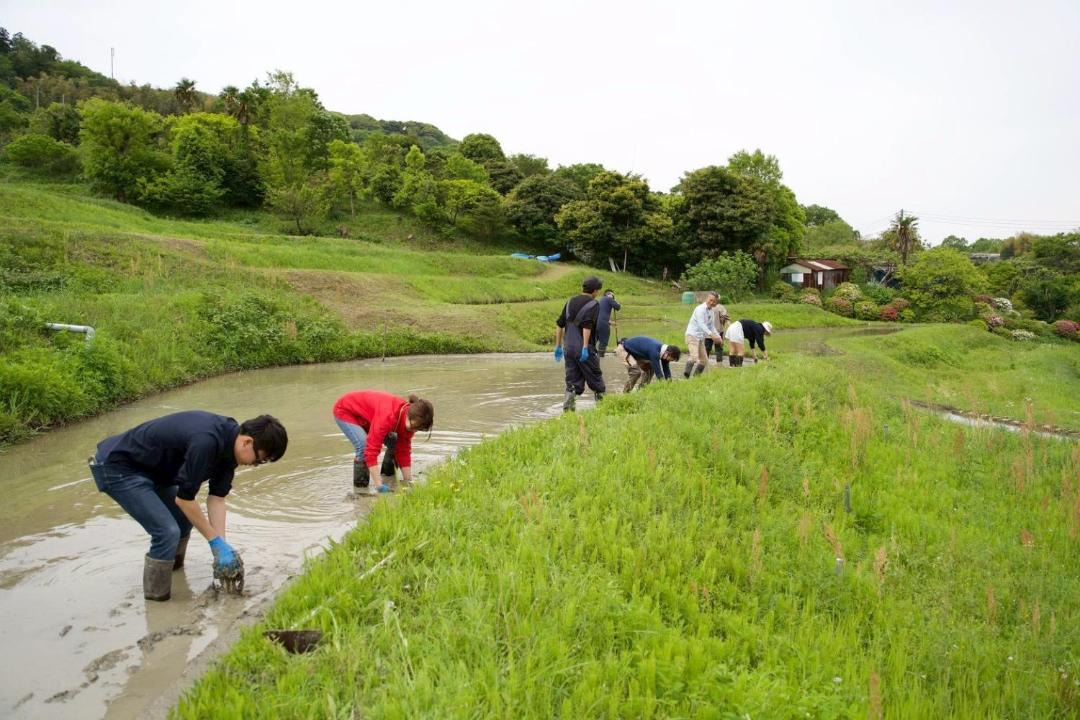 Photo of Others in Hayama