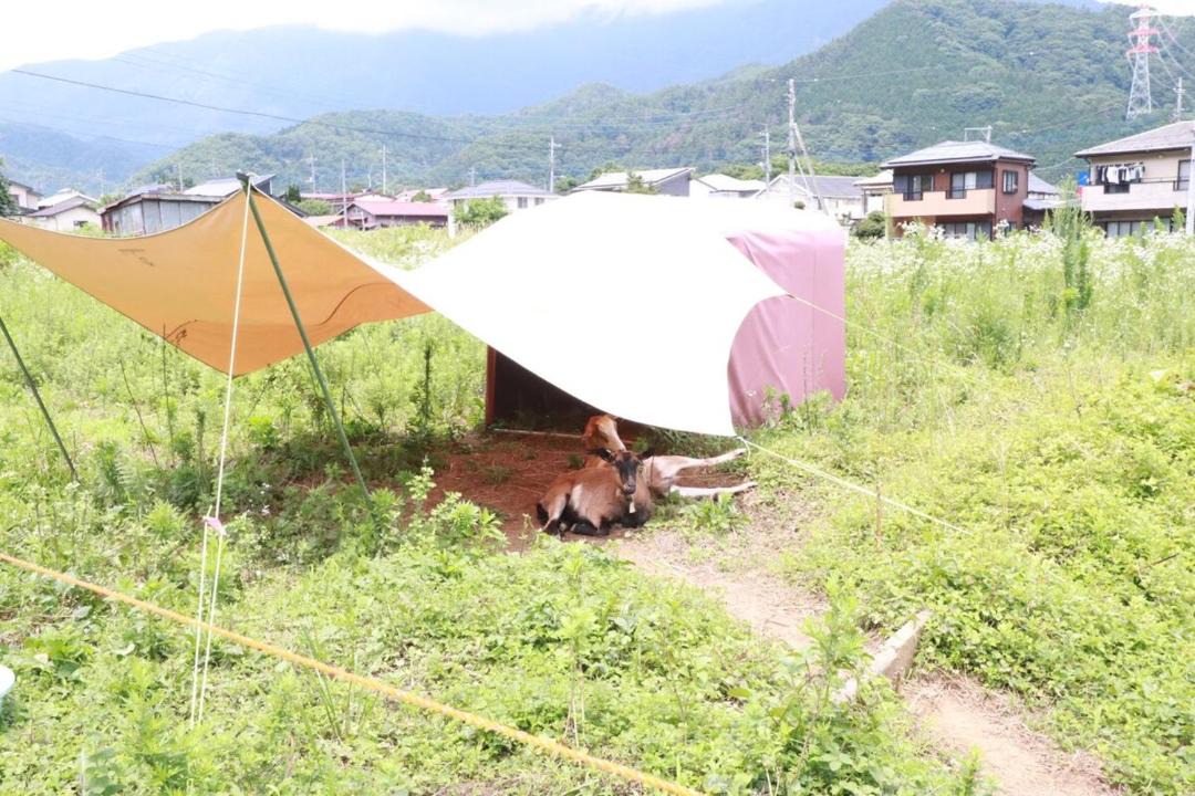 Photo of Others in Tsuru