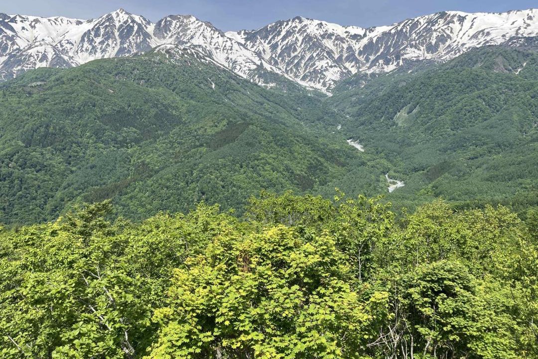 Photo of Others in Hakuba