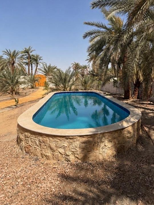 Photo of Others in Siwa