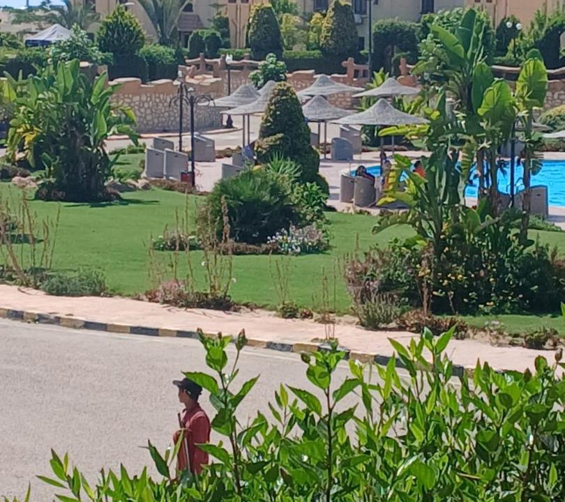 Photo of Others in Al-Hammam