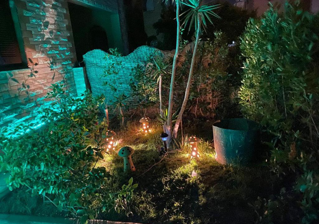 Photo of Others in Al-'Amriyah