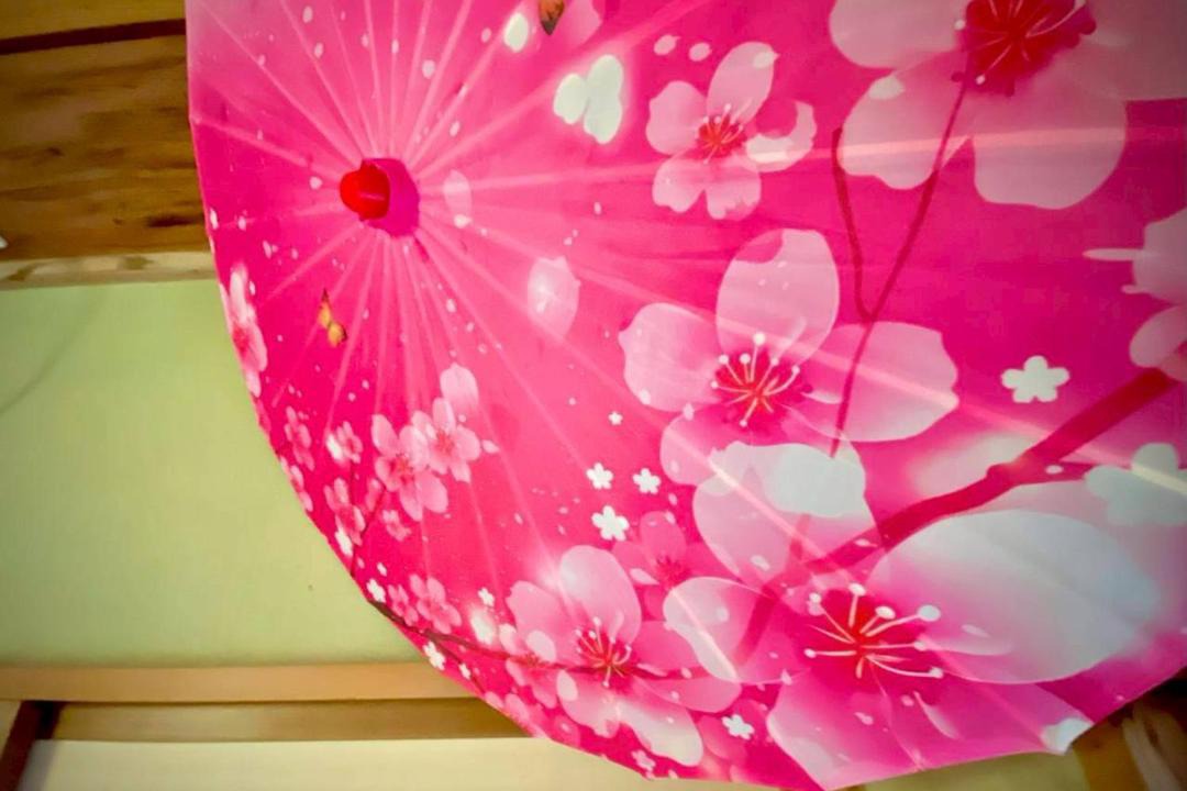 Photo of Others in Aomori