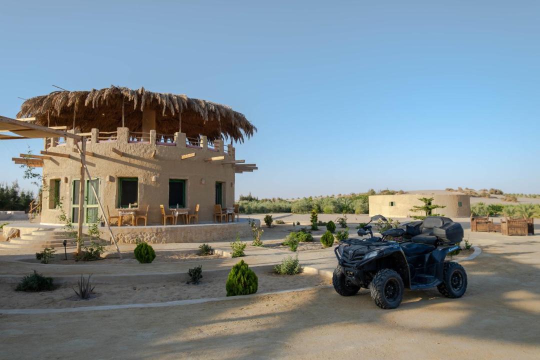 Photo of Others in Siwa
