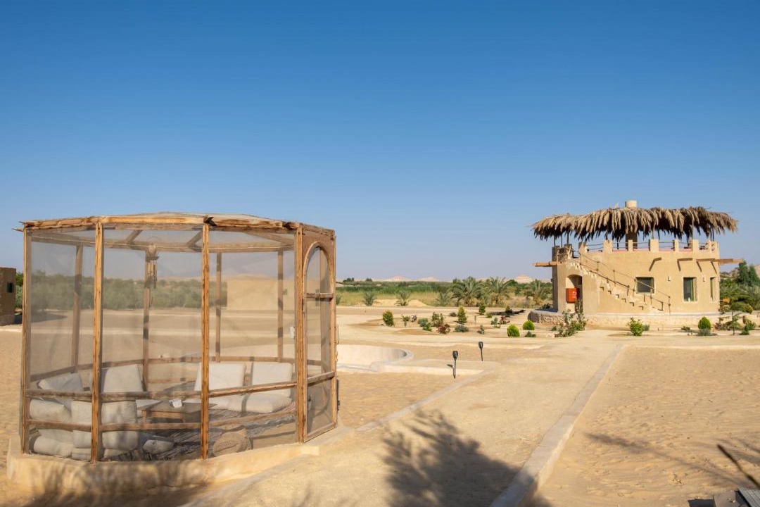 Photo of Others in Siwa