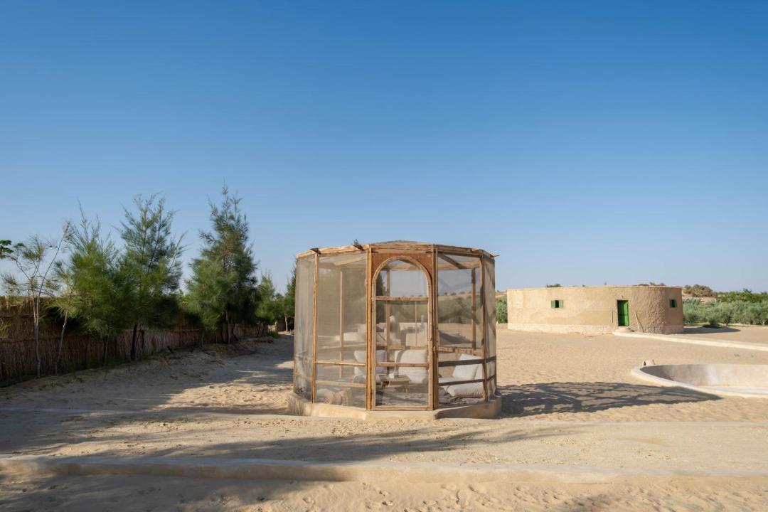 Photo of Others in Siwa
