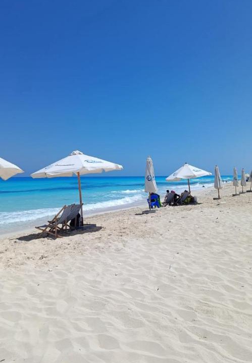 Photo of Others in Borg el Arab