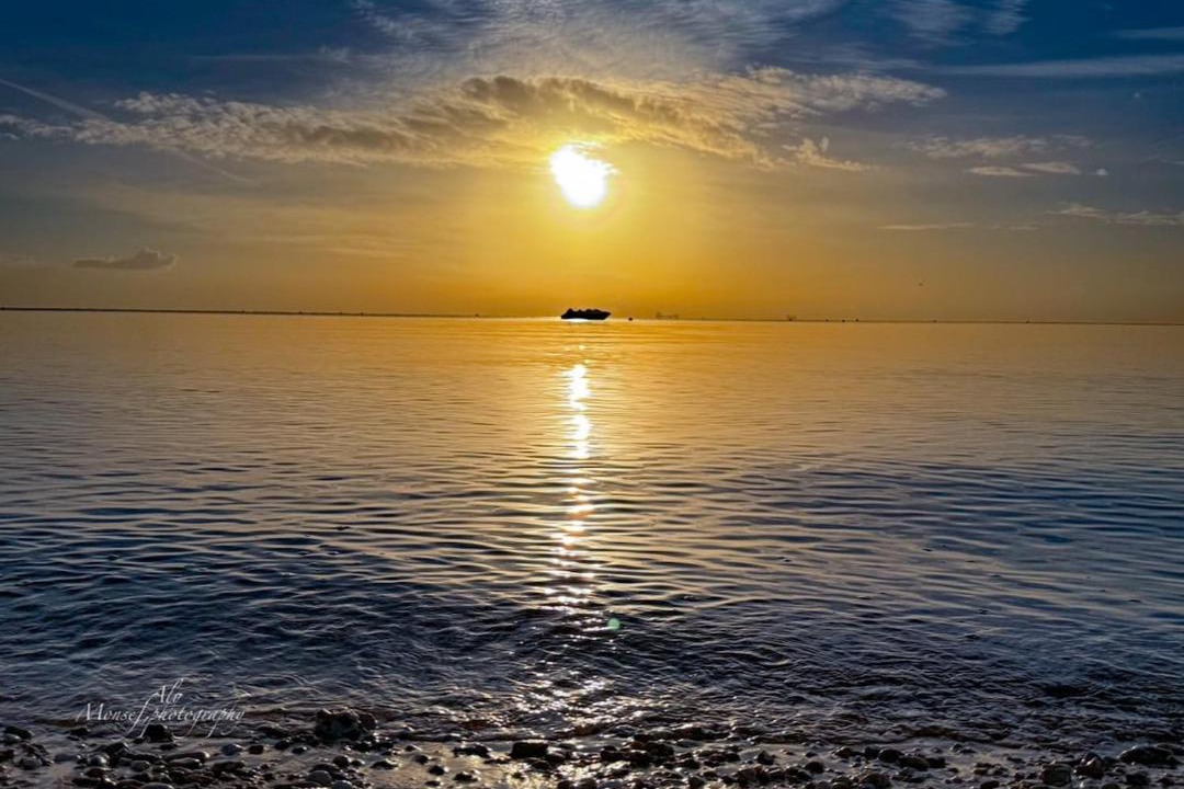 Photo of Human In Picture in Ain Sokhna