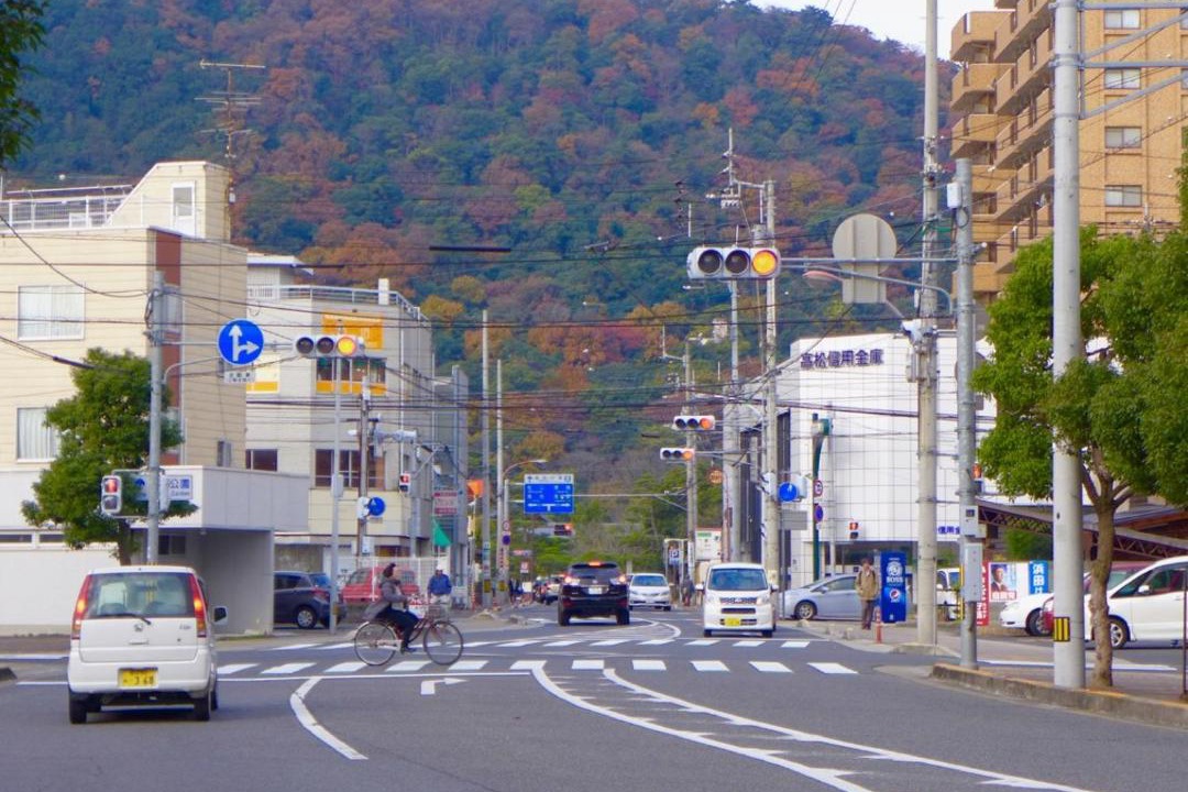 Photo of Others in Ritsurin Cho