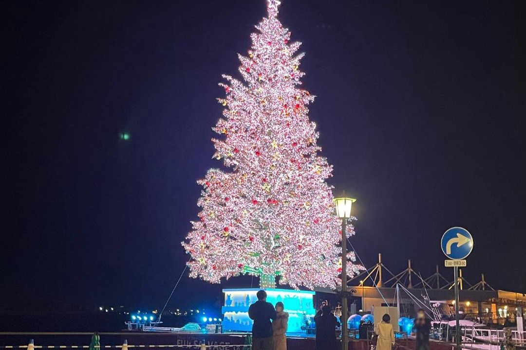 Photo of Others in Hakodate