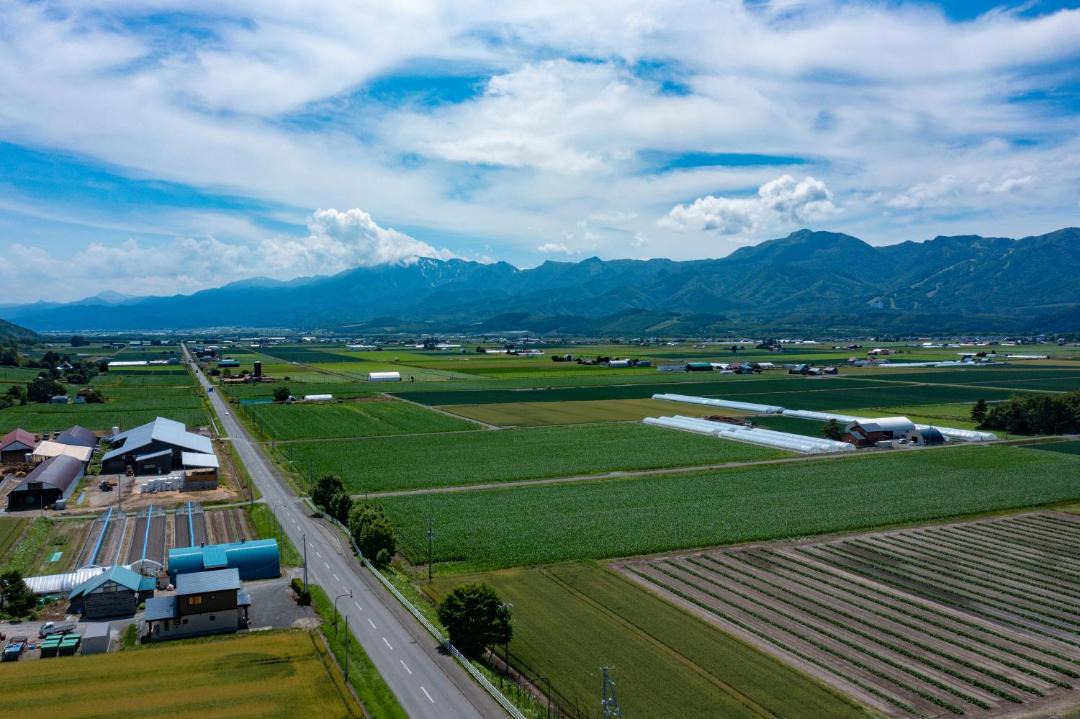 Photo of Others in Furano